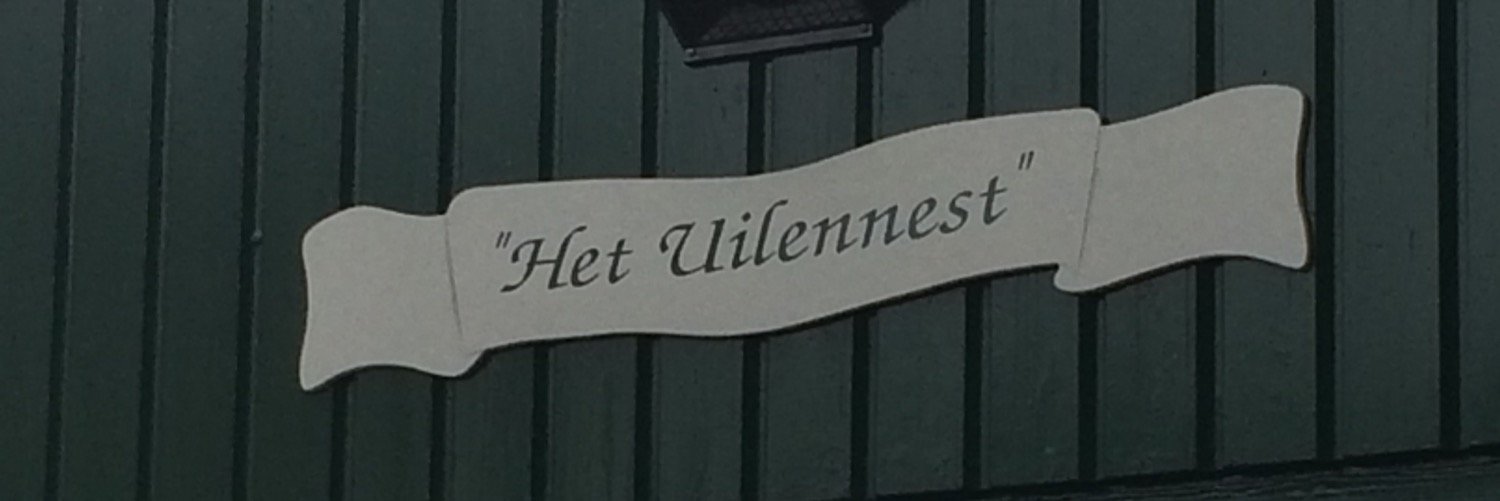 Zustertuin's profile banner image