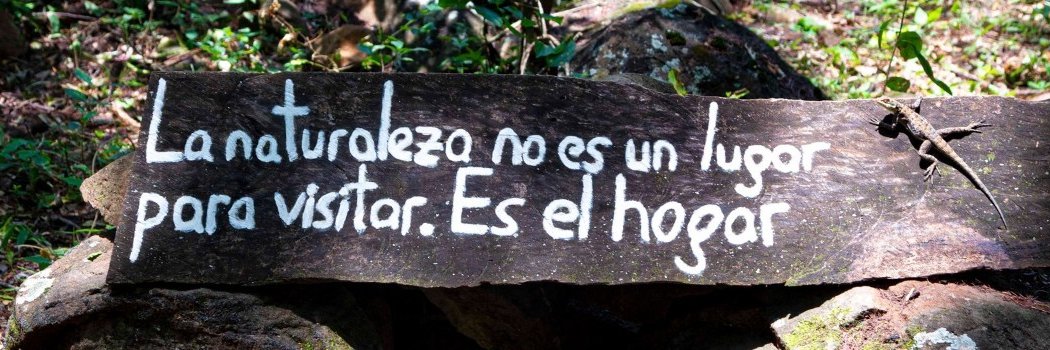 Mirtha_Rodríguez 🍉 banner