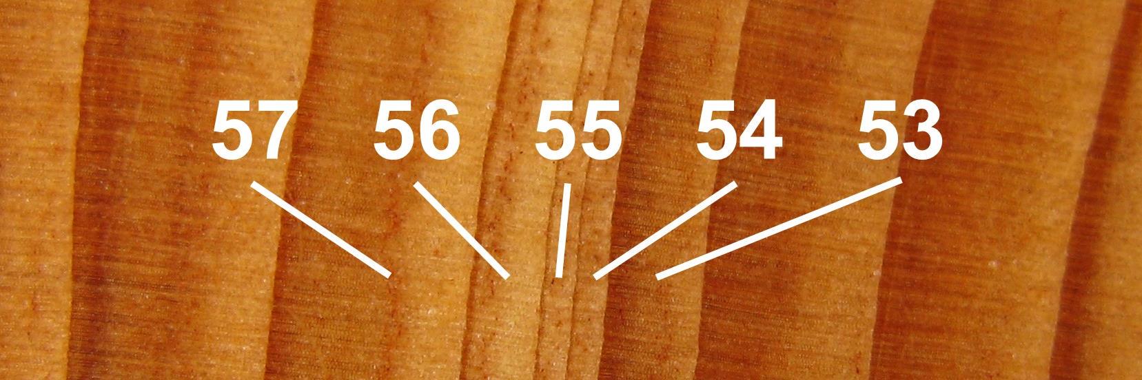 Forrest M. Mims III banner