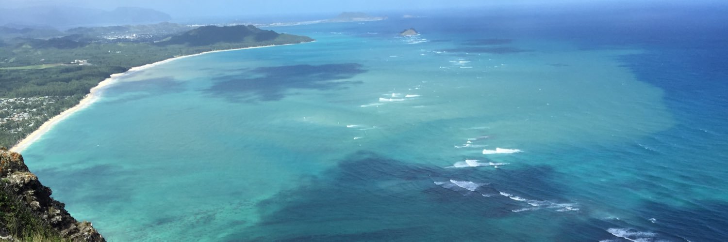 zookerman's profile banner image