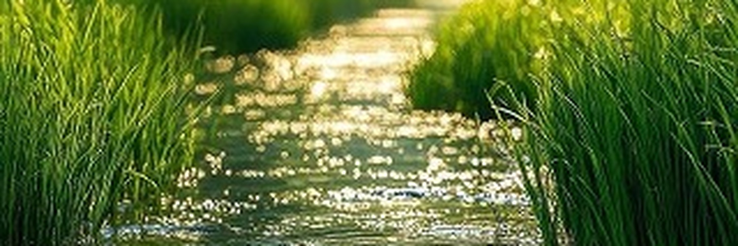 ITUMETSE's profile banner image