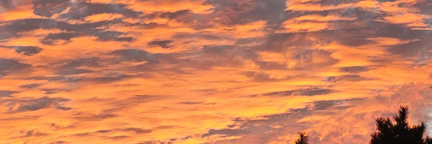 하당 banner