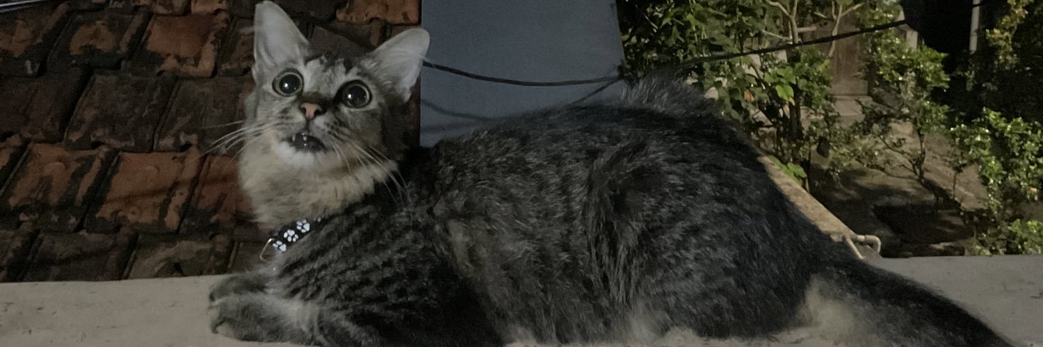 KZ banner