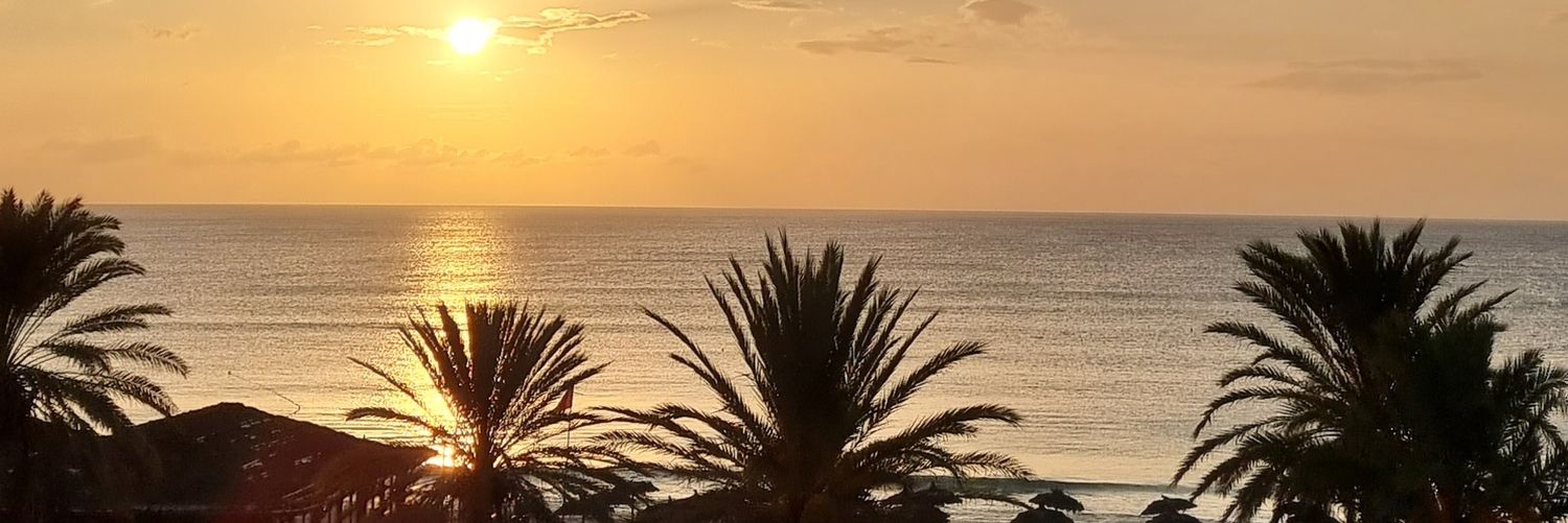 webg's profile banner image