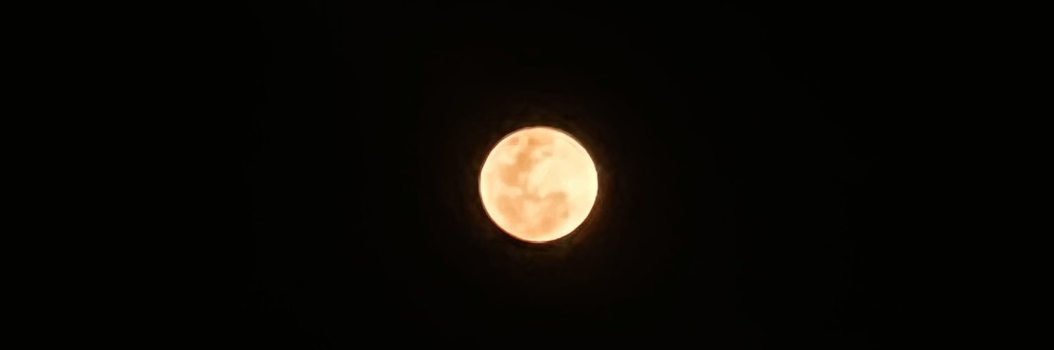 nn. banner