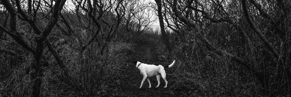 edwardrow Profile Banner
