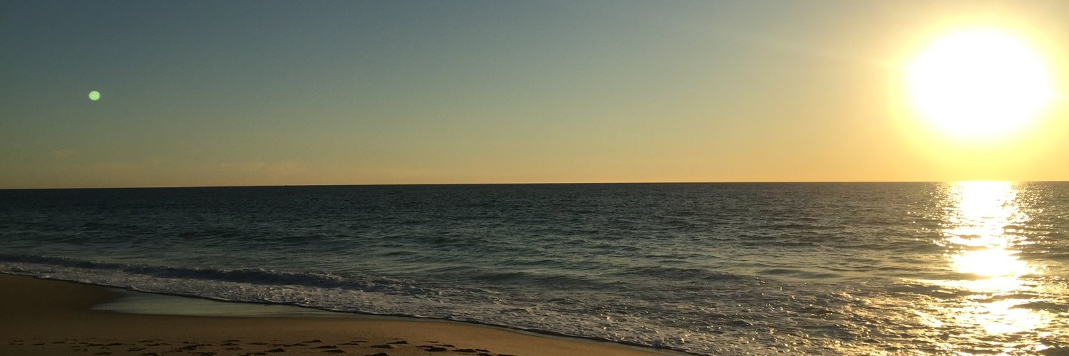 Buzmo Day Trader banner