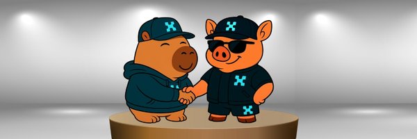 NewReportRise Profile Banner