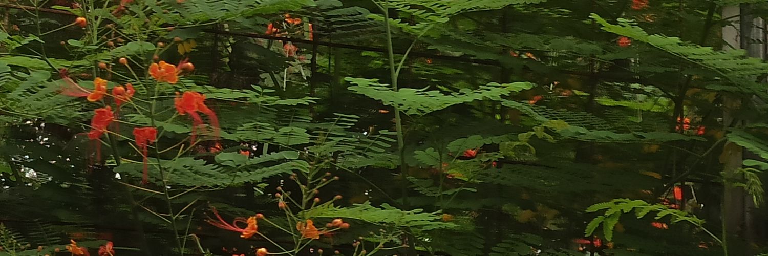 endahbegarlis's profile banner image