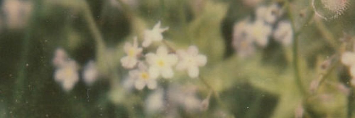 helmi ✿'s banner