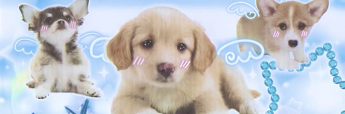 kvns___'s profile banner image