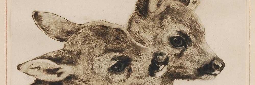 rhy banner