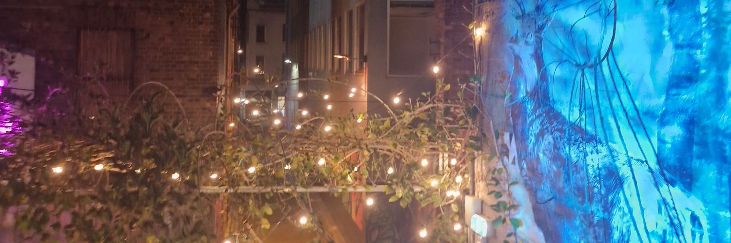 sillyguyfarten's profile banner image