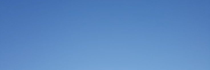 Archie banner