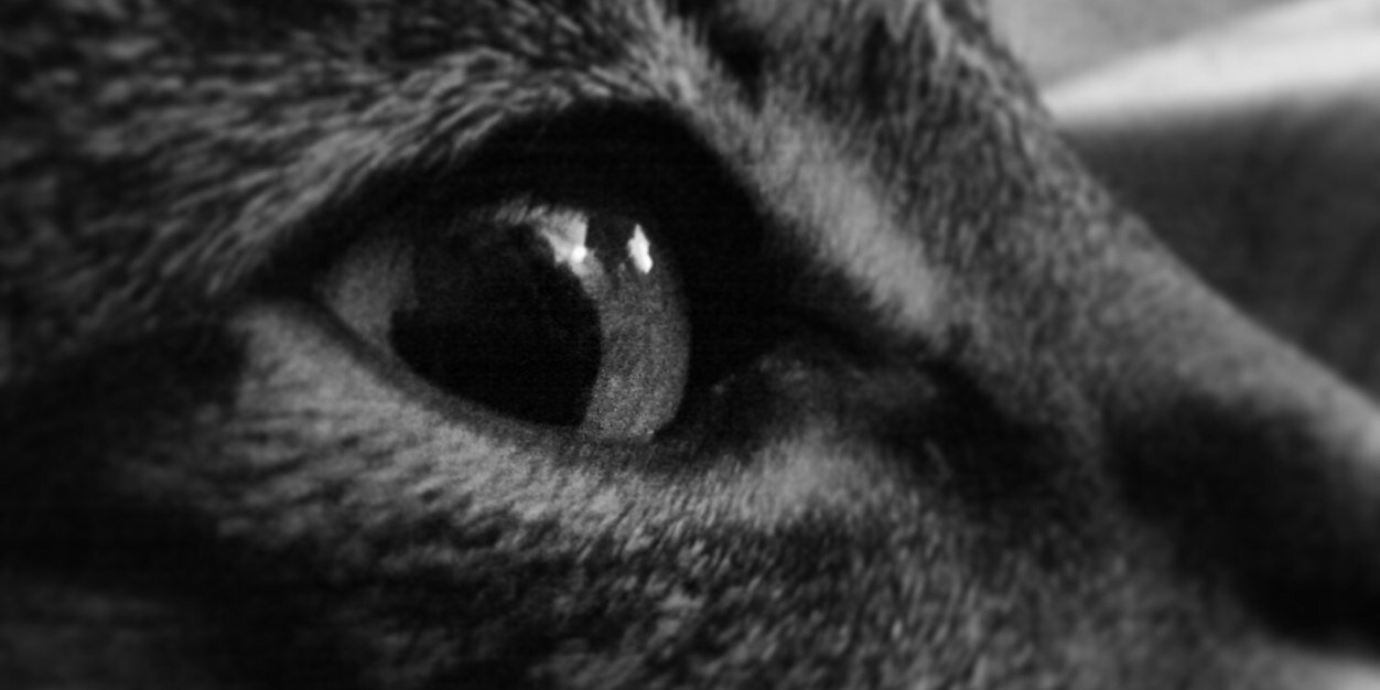 PiluRG's profile banner image