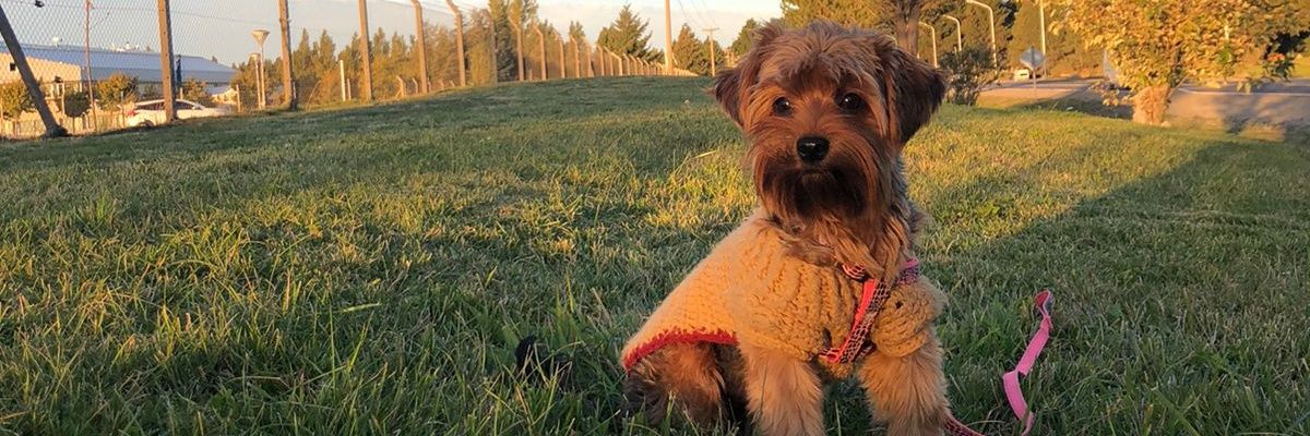 MilyVignolo's profile banner image