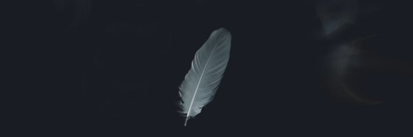 SixthGen2048 Profile Banner