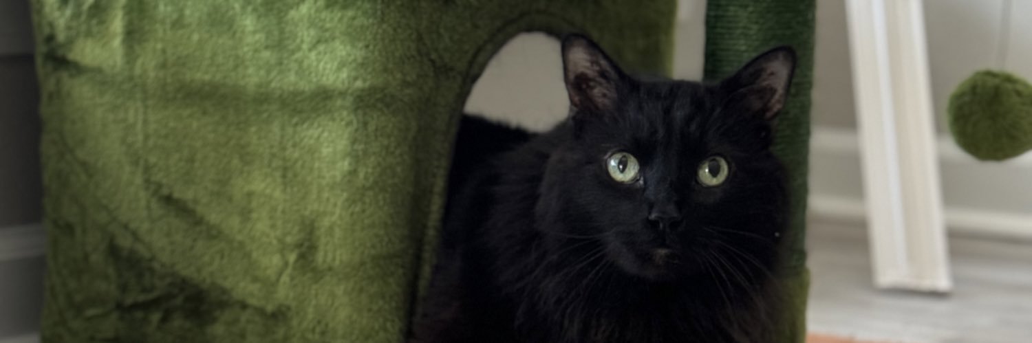 KatStaton's profile banner image