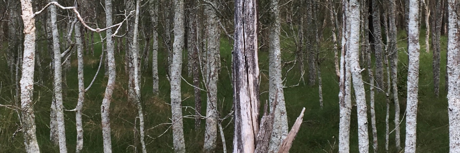 Pen Aagaard banner