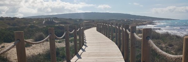 plataformareta Profile Banner