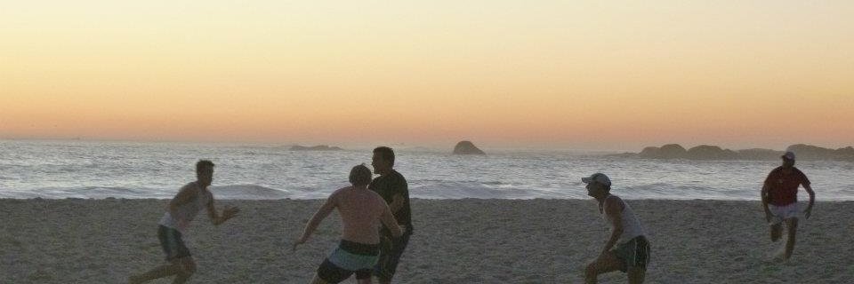 François d'Alançon banner