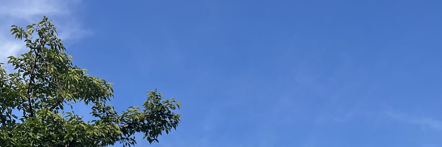 ミユキ banner
