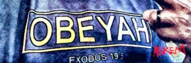 blackraiden76T's profile banner image