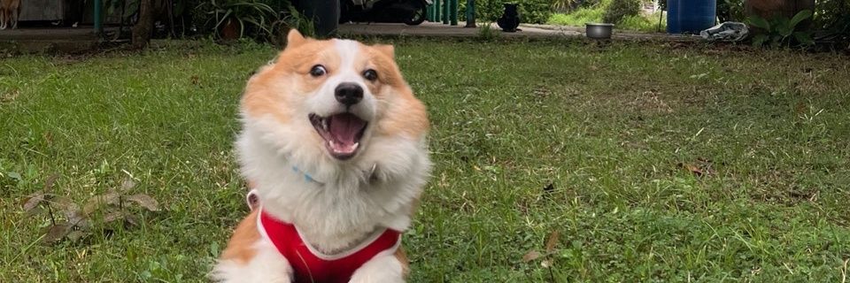 TWJRHZ52's profile banner image