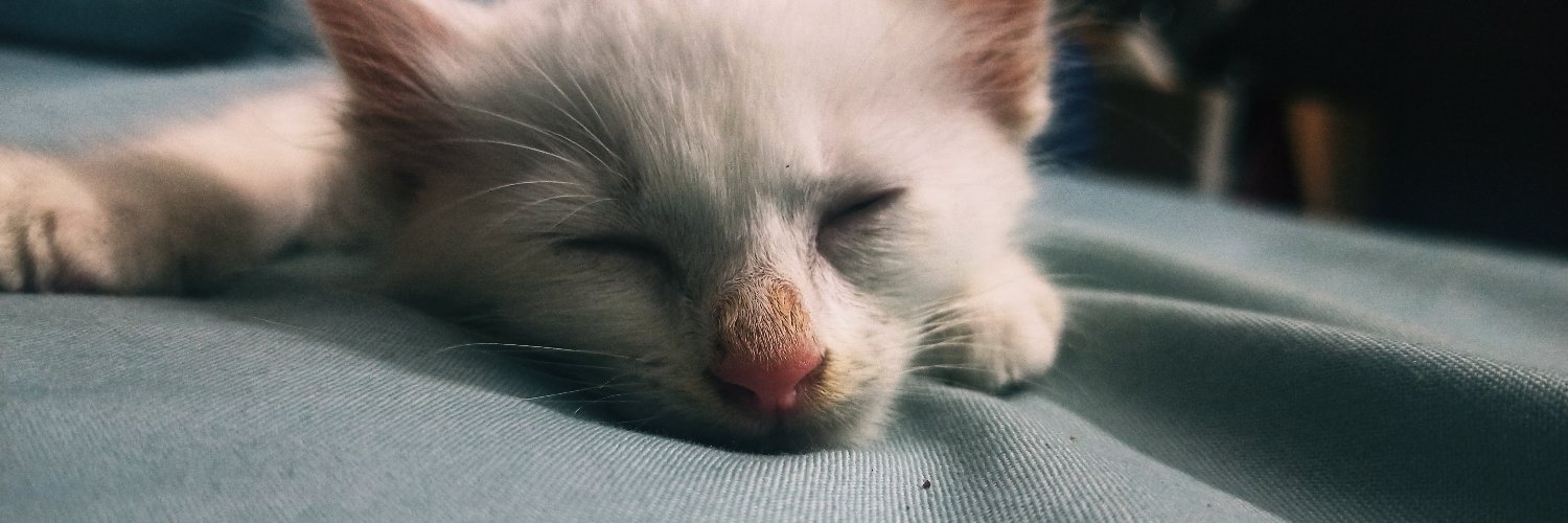 iqbal Wahyu Permana banner