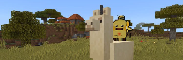 laitselecs's profile banner image