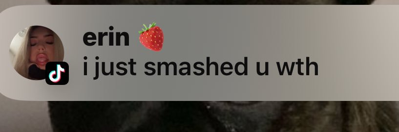 lryc🩸🩸🩸🔪 banner