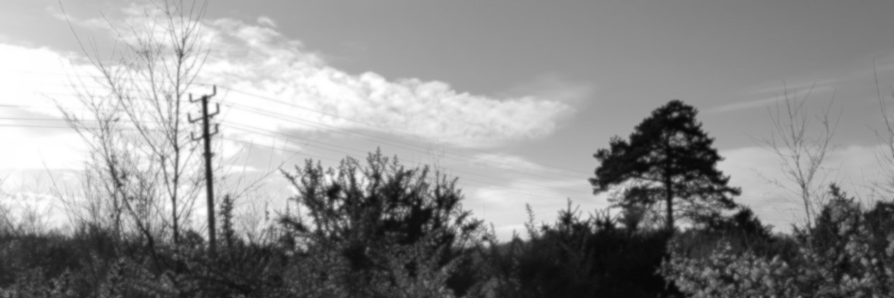 dutchPaul's profile banner image