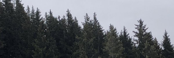 Jadereallysucks Profile Banner