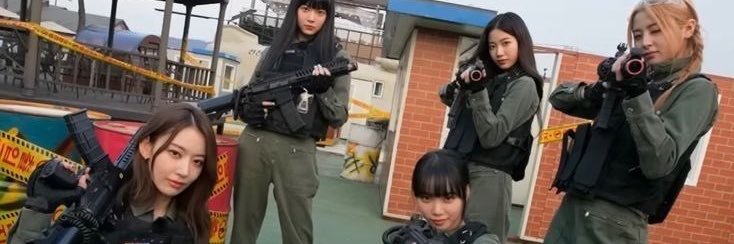 FimDefense banner