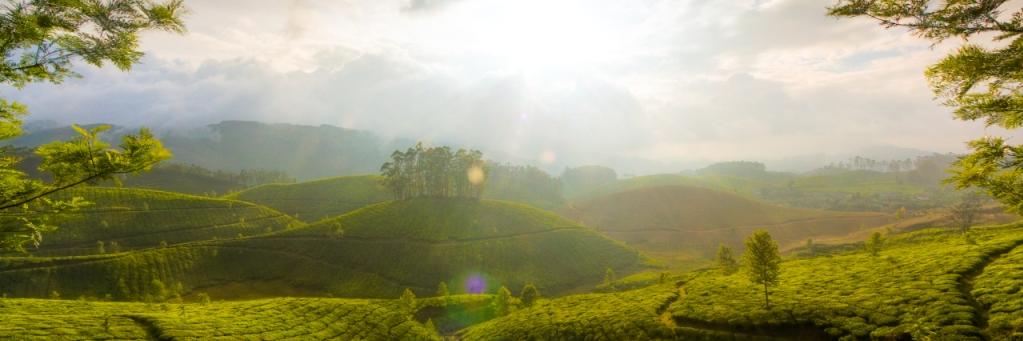 fragrantresort's profile banner image