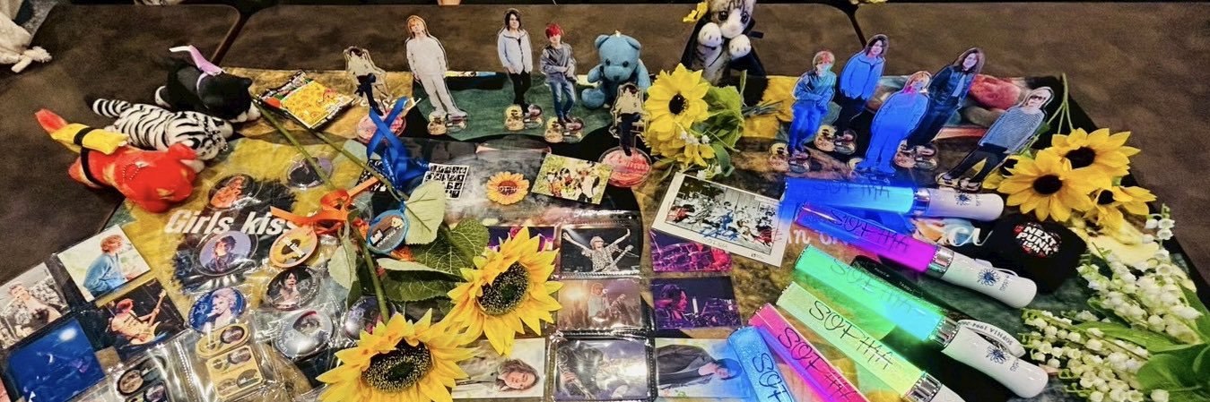 🐈‍⬛碧🐾🌻 banner