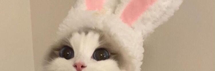 liakroft's profile banner image