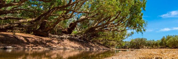 mdouglasUWA Profile Banner