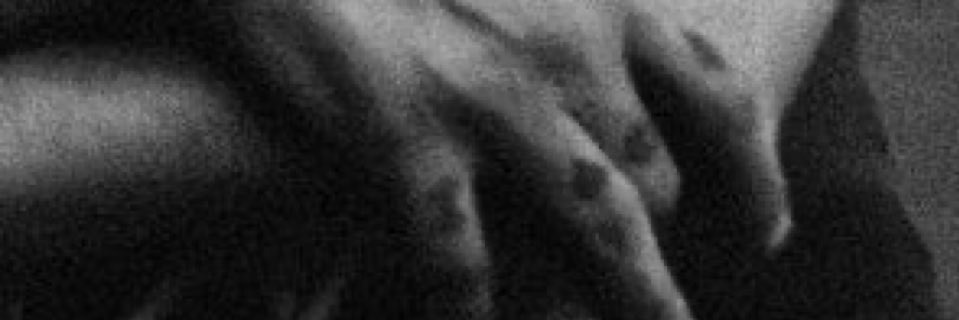 sue's banner