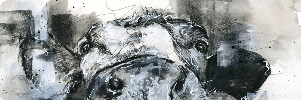 David Pooley Artist banner