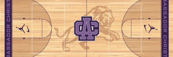 ACSLions_BB Profile Banner