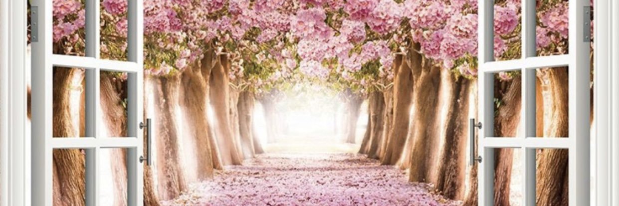 raniakarawi's profile banner image