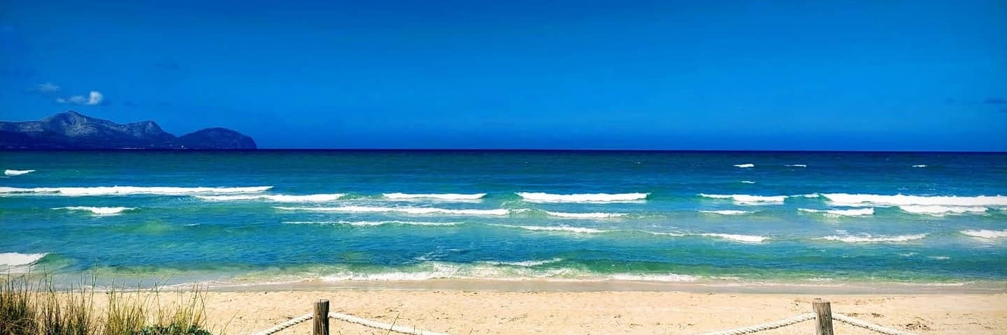 Daniel Wolters banner