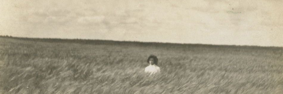ssilentte's profile banner image