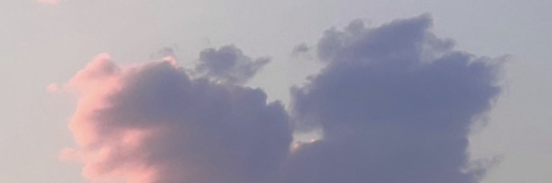 ぶ banner