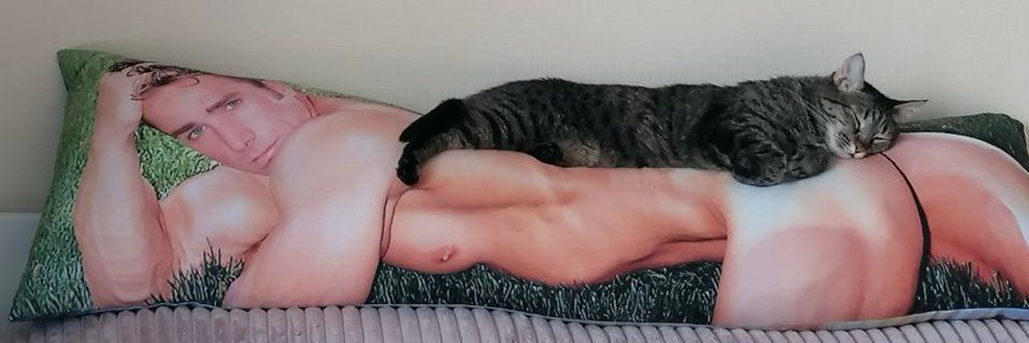 leo banner
