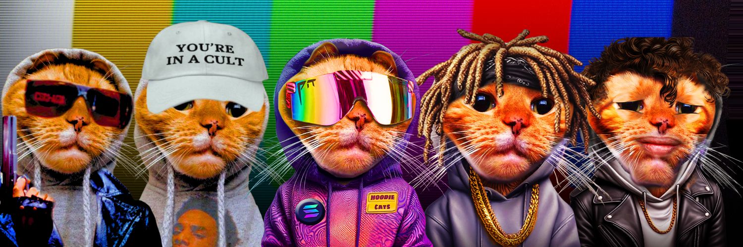 Hoodie Cat 😼✨️ banner