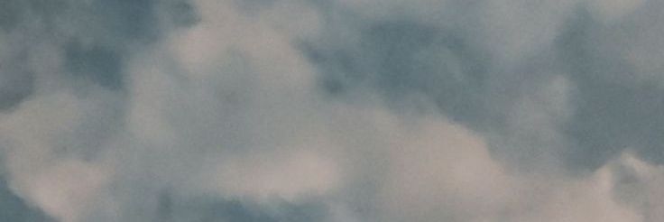 leii ☁️🇵🇸 commission open banner