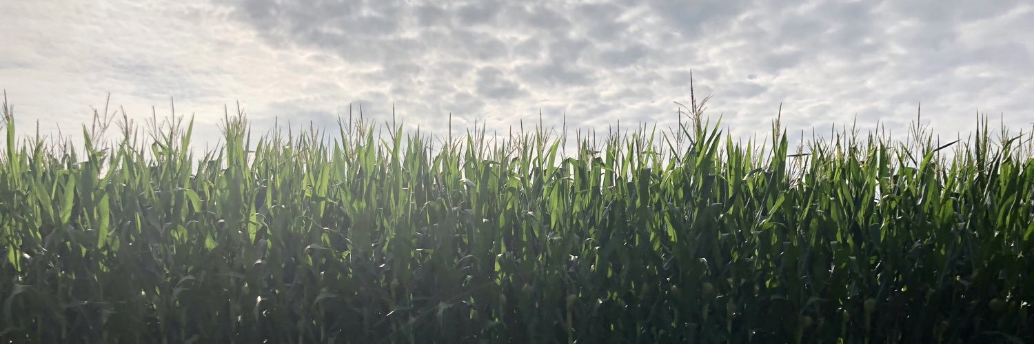 ericarog's profile banner image