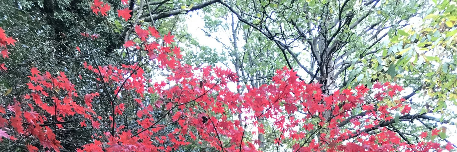 George Johansen-Berg banner